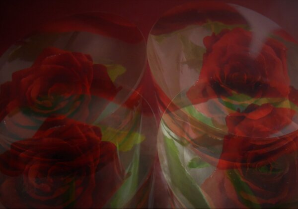 Double Exposure