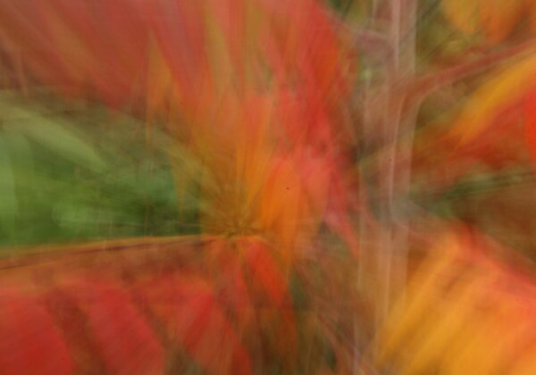 Herfstwandeling